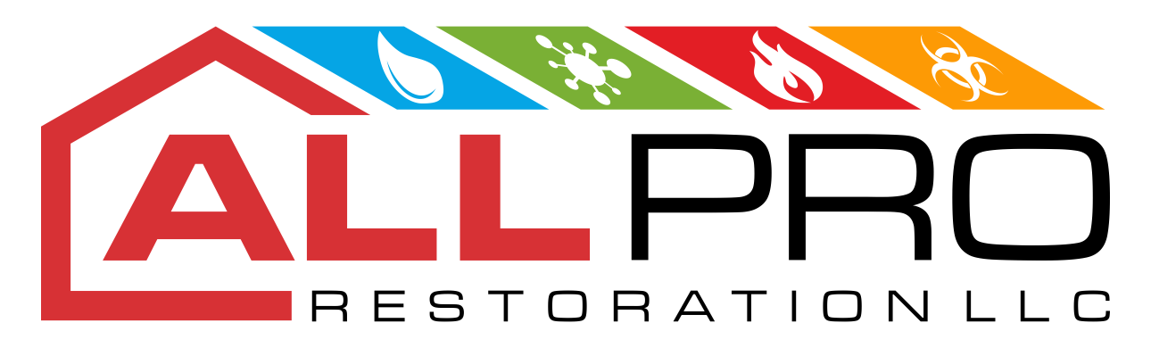 All Pro Restoration White Logo