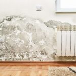 WATER DAMAGE RESTORATION SERVICES NORTON MA