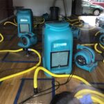 Mold Removal in Raynham, MA