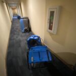 Mold Removal Services - All Pro Restoration