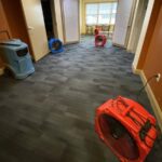 All Pro Restoration - Mold Removal