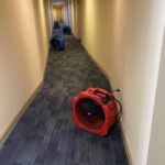 COVID-19 & Virus Sanitizing Services in Rehoboth, MA