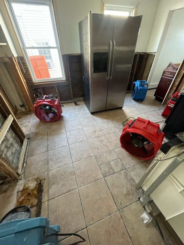 Mold Remediation - All Pro Restoration