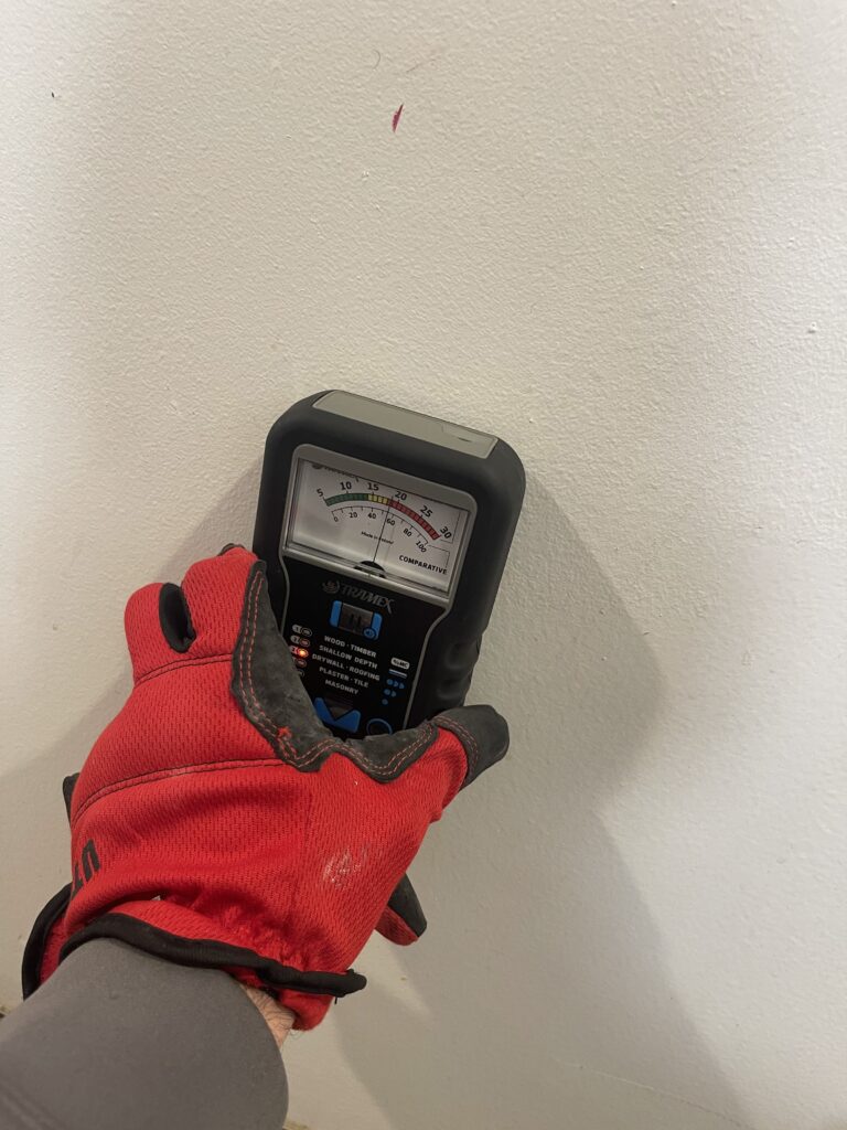 Mold Removal - All Pro Restoration