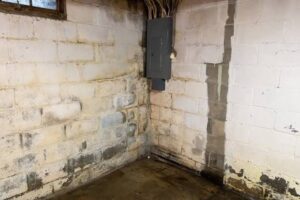 Foundation Water Damage: Central MA Homeowner Guide