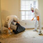 Water Damage Inspection: What to Expect, Step by Step