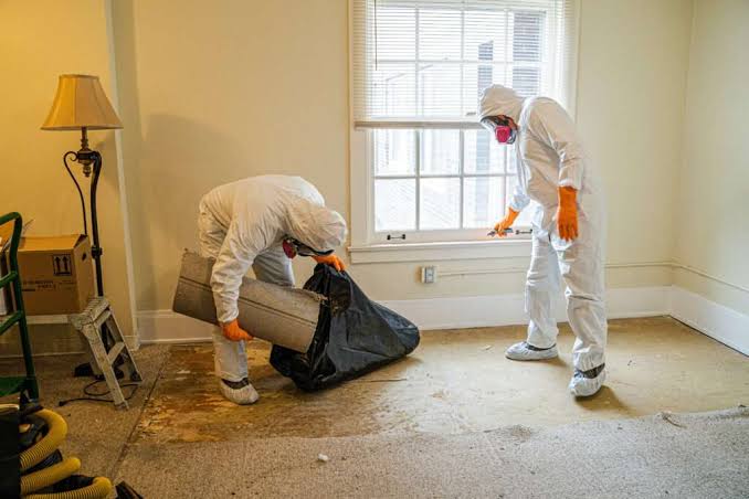 Water Damage Inspection: What to Expect, Step by Step